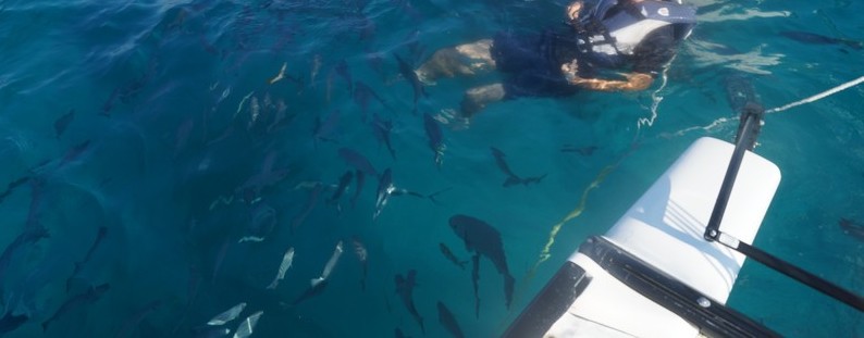 Baño con peces . Vardero. Matanzas