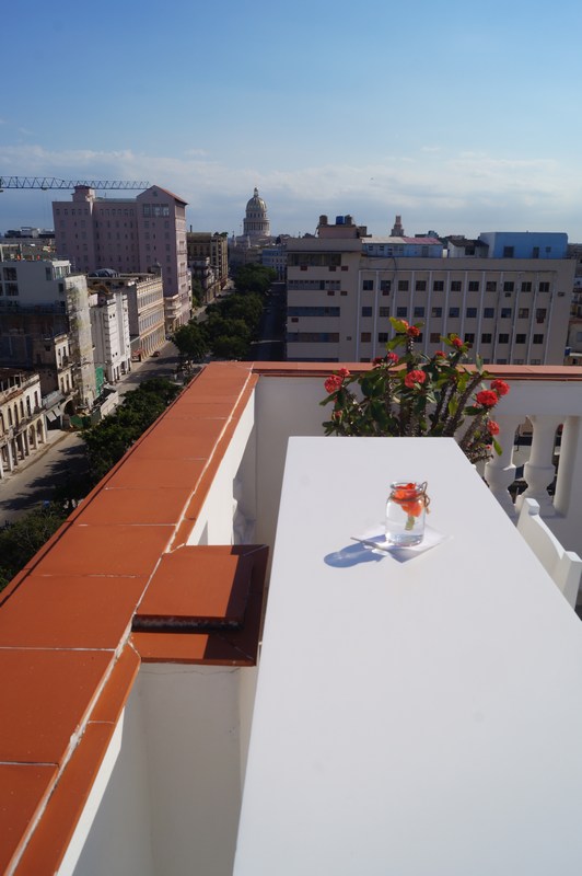 BEST VIEW , Paseo del Prado. Havana Vieja. Rooftop. Mirador.