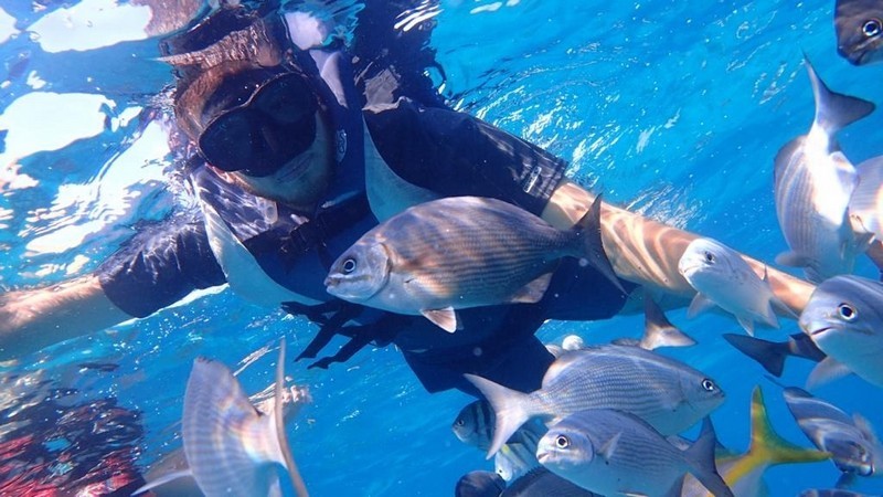 Baño con peces . Vardero. Matanzas