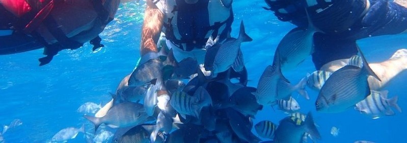 Baño con peces . Vardero. Matanzas