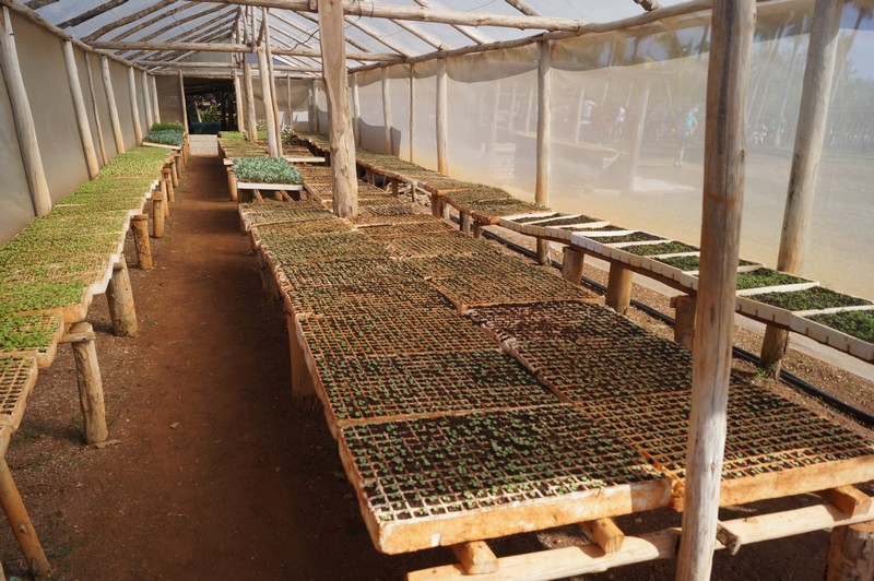 Finca Marta. Km 19.5 Autopista Este-Oeste, Caimito, Artemisa . Agroturismo. Agroecología