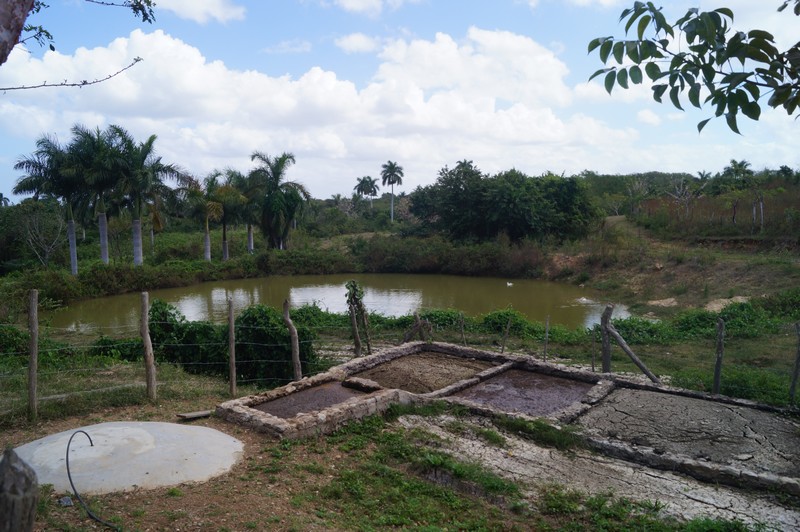 Finca Marta. Km 19.5 Autopista Este-Oeste, Caimito, Artemisa . Agroturismo. Agroecología