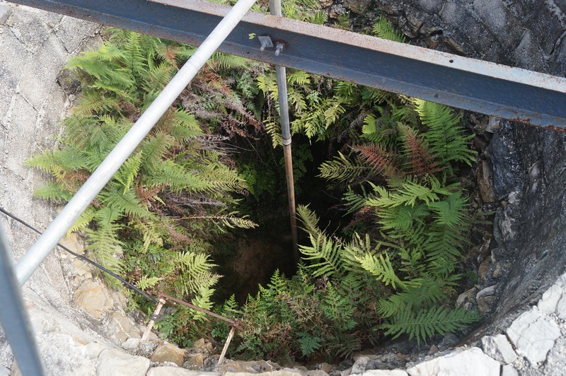 Finca Marta. Km 19.5 Autopista Este-Oeste, Caimito, Artemisa . Agroturismo. Agroecología