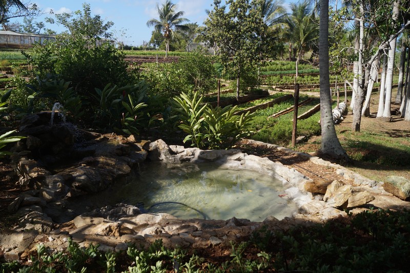 Finca Marta. Km 19.5 Autopista Este-Oeste, Caimito, Artemisa . Agroturismo. Agroecología