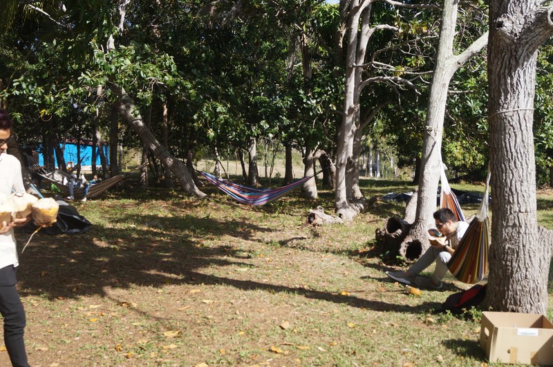 Finca Marta. Km 19.5 Autopista Este-Oeste, Caimito, Artemisa . Agroturismo. Agroecología