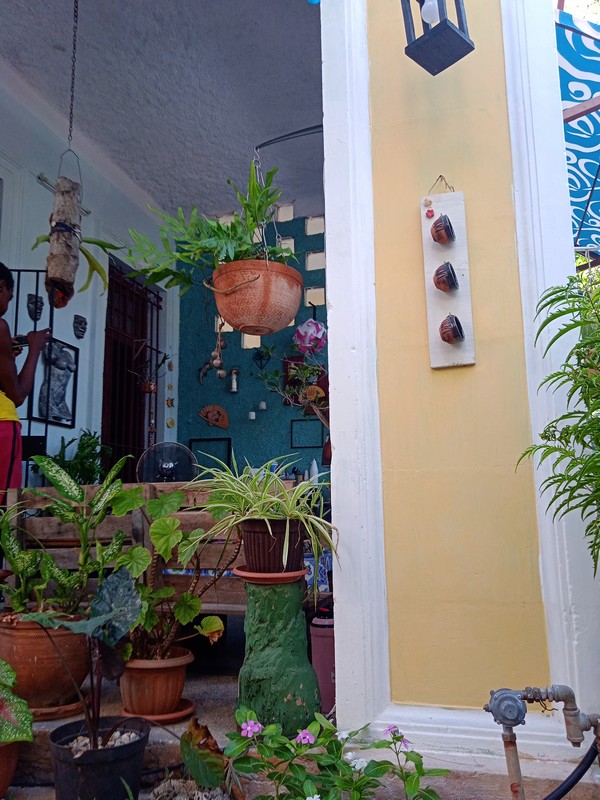 Thalys Café . Café en Miramar. La Habana 